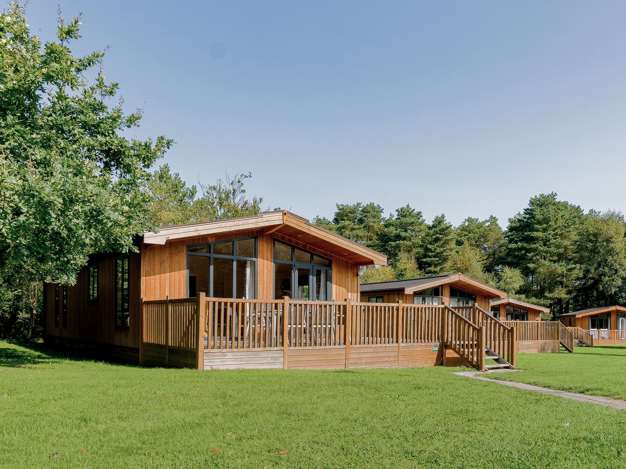 Holiday resort Landal Darwin Forest Landal GreenParks