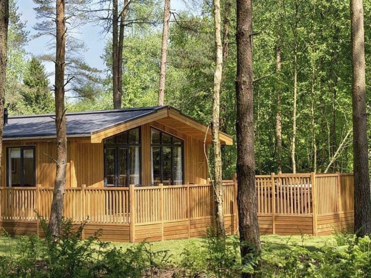 Holiday resort Landal Darwin Forest Landal GreenParks